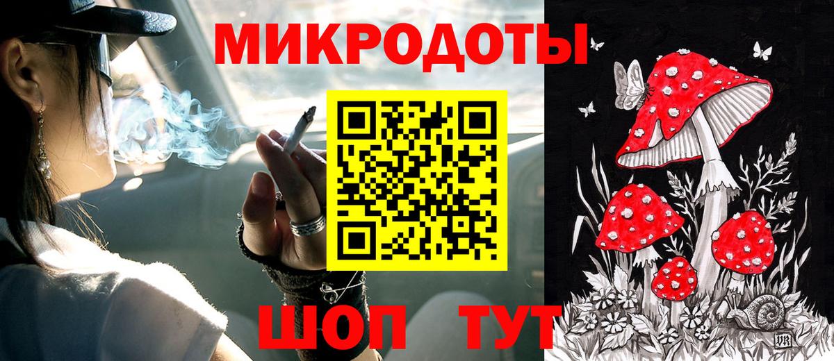Галлюциногенные грибы Psilocybine cubensis  Вход с VPN  Кольчугино 